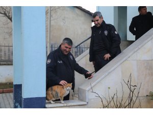 "Sevimli patilere" polisler sahip çıktı