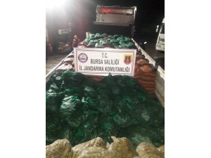Bursa’da 19 ton kaçak midye ele geçirildi