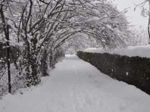 Konya'da kar, kartpostallık görüntüler ortaya çıkardı