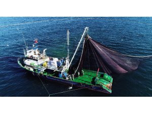 Mutlu: “Hamsi erken göç etti”