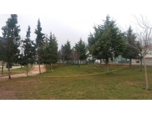 Parkta gördükleri bebek eli şoke etti