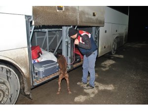 Bingöl’de 5 şüpheli tutuklandı