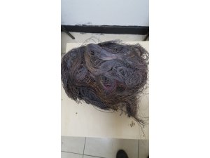 Giresun’da kablo hırsızlığı