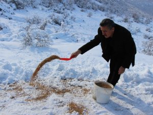 Seydişehir’de doğaya yem