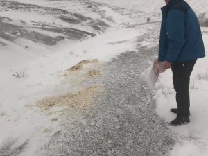 Yunak Belediyesi doğaya yem bıraktı