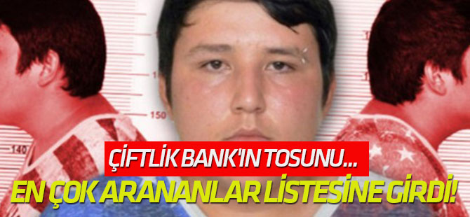 İnterpol'ün en çok arananlar listesine girdi!