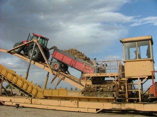 Kulu'da pancar alım işlemleri başladı