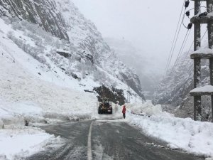 Hakkari-Çukurca karayoluna çığ düştü