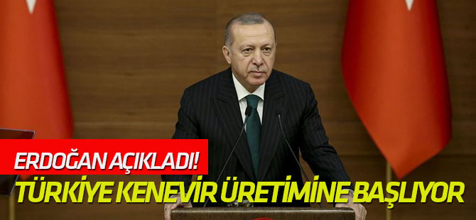 Cumhurbaşkanı Erdoğan açıkladı! Türkiye kenevir üretimine başlıyor