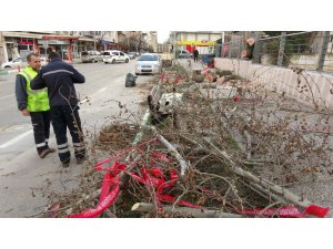 Lodosun şiddeti gün ağarınca ortaya çıktı