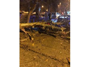 Kuzey Ege'de kuvvetli fırtına