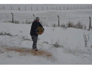 Karapınar'da doğaya yem bırakılıyor