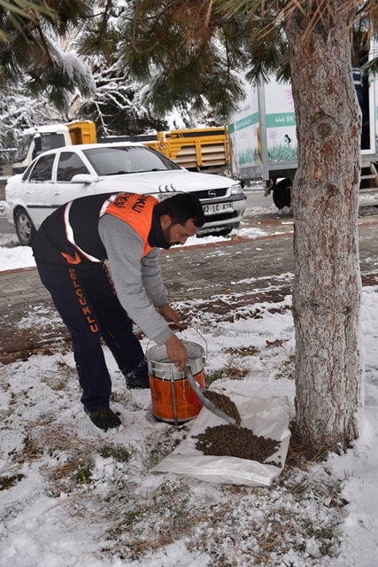 Selçuklu'da hayvanlar unutulmadı