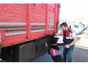 Bingöl’de jandarma 148 faili meçhul olayı aydınlattı, 198 kişi tutuklandı