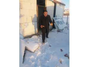 Bahşili Belediyesi sokak köpeğine ve yavrularına sahip çıktı