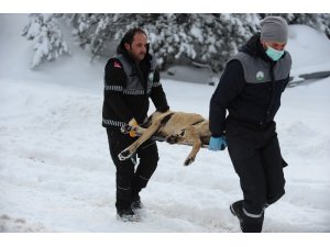 Uludağ’da hayat kurtaran operasyon...