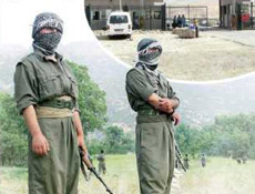 34 teröristten 29'u serbest