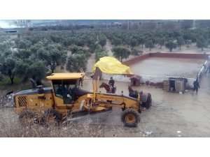 Bakırçay Deresi taştı, atlar mahsur kaldı