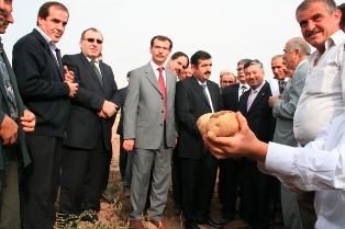 Organik patates hasat şenliği yapıldı