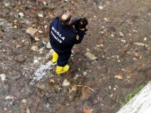 Kediyi kurtarmak için itfaiye ekipleri seferber oldu