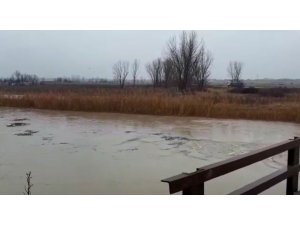Ergene Nehri’nin su seviyesi yükseldi, vatandaşlar tedirgin