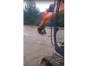 İzmir’de bir köpek sel sularından kurtarıldı