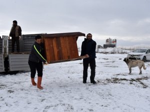 Konya'da sokak köpeklerine sıcak yuva