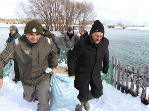 Seydişehir’de hayvanlara yem bırakıldı