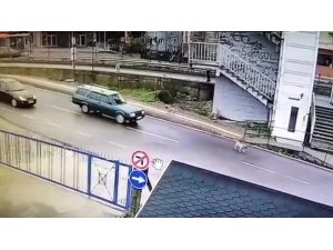 Köpeği ezip kaçan zanlı yakalandı