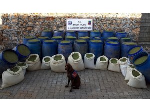 Bingöl’de 1 yılda uyuşturucuya darbe vuruldu