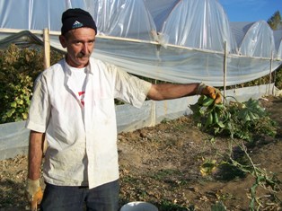 Kilolarınızdan salatalıkla kurtulun!