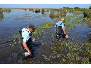 Hayvansal ürün ihracatı yüzde 30 arttı