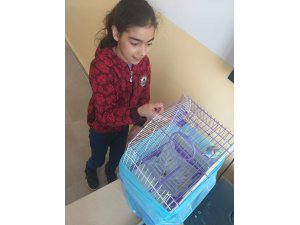 Ulaş'ta özel eğitim öğrencilerine hayvan sevgisi aşılanıyor