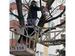 Öğrenciler kuşlar için yuva yaptı