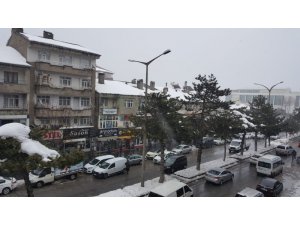 Çatıdan düşen kar kütlesi öldürdü