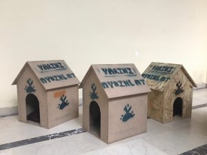 "Patikondular" sahiplerine teslim edildi