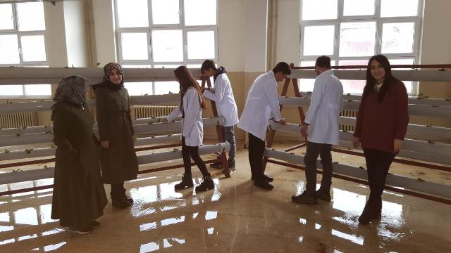 Tarım lisesinde topraksız çilek üretim denemesine başlandı