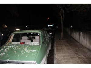 Fırtınanın devirdiği ağaç otomobilin üzerine düştü