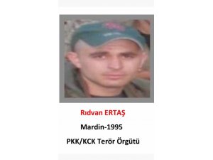 Gri listedeki terörist Şırnak'ta teslim oldu