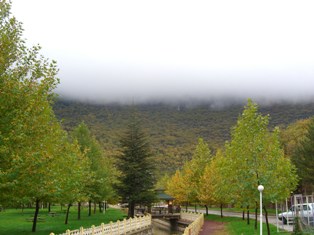 Kuğulu piknik alanında sonbahar görüntüsü