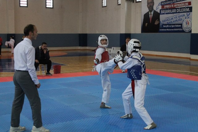 Okullarda Yıldız Taekwondocular sahne aldı