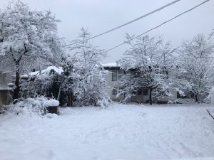 Sakarya'da kar yağışı