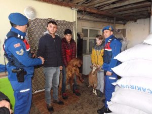 Ayakkabı ve teker izleri hırsızlık şüphelilerini yakalattı