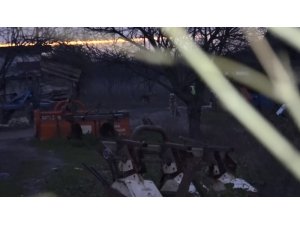 Üniversite öğrencisi köpek saldırısıyla yaralandı