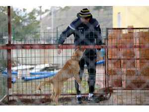 E.Yeni Malatyaspor’un ’Cesur’u artık genç bir köpek