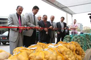 Organik patates satışa sunuldu