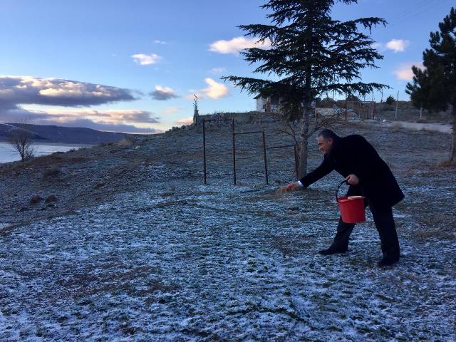 Ilgın'da yabani hayvanlar için doğaya yem bırakıldı