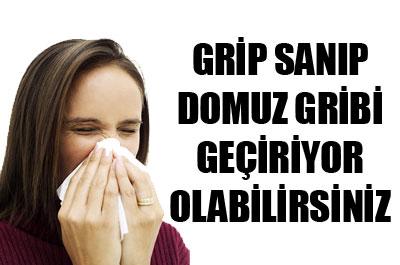 Mevsimsel değil, domuz gribi