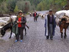 Göçerlik kültürü üzerine