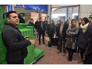 Girişimci adayları IPA desteğiyle kurulan projeleri inceledi